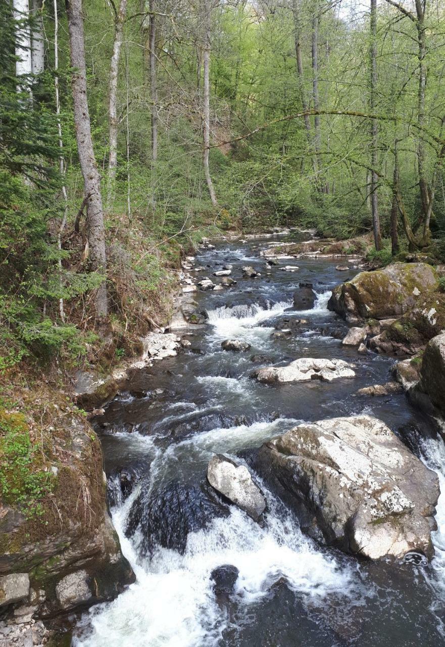 Herberg Die Alte Schleuse มานเดอร์ไชด์ ภายนอก รูปภาพ