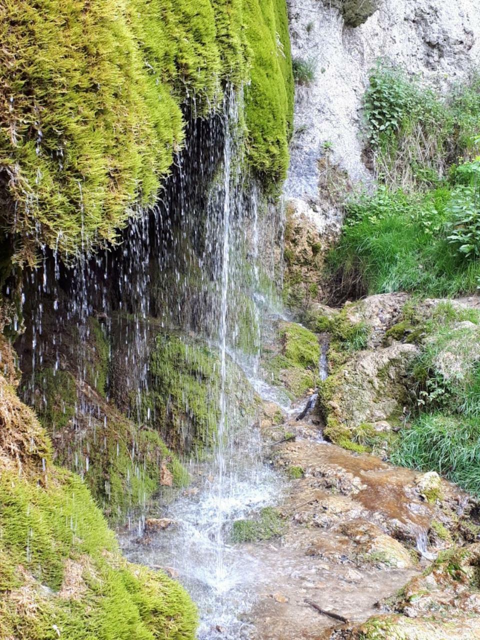 Herberg Die Alte Schleuse มานเดอร์ไชด์ ภายนอก รูปภาพ