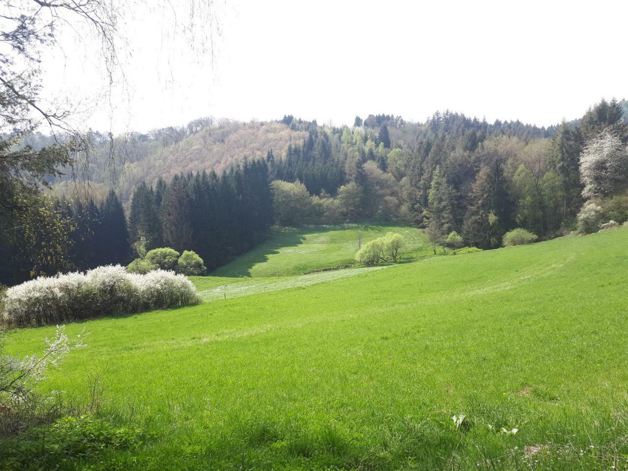 Herberg Die Alte Schleuse มานเดอร์ไชด์ ภายนอก รูปภาพ
